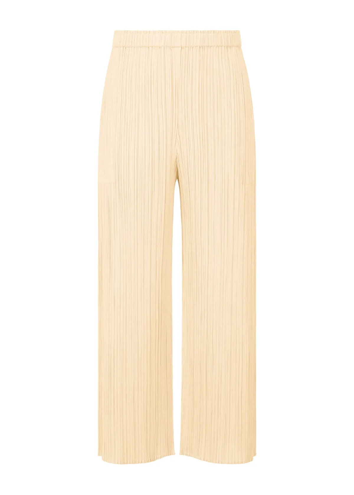 Women PLEATS PLEASE ISSEY MIYAKE Socks & Shoes | Pants*NEBULA