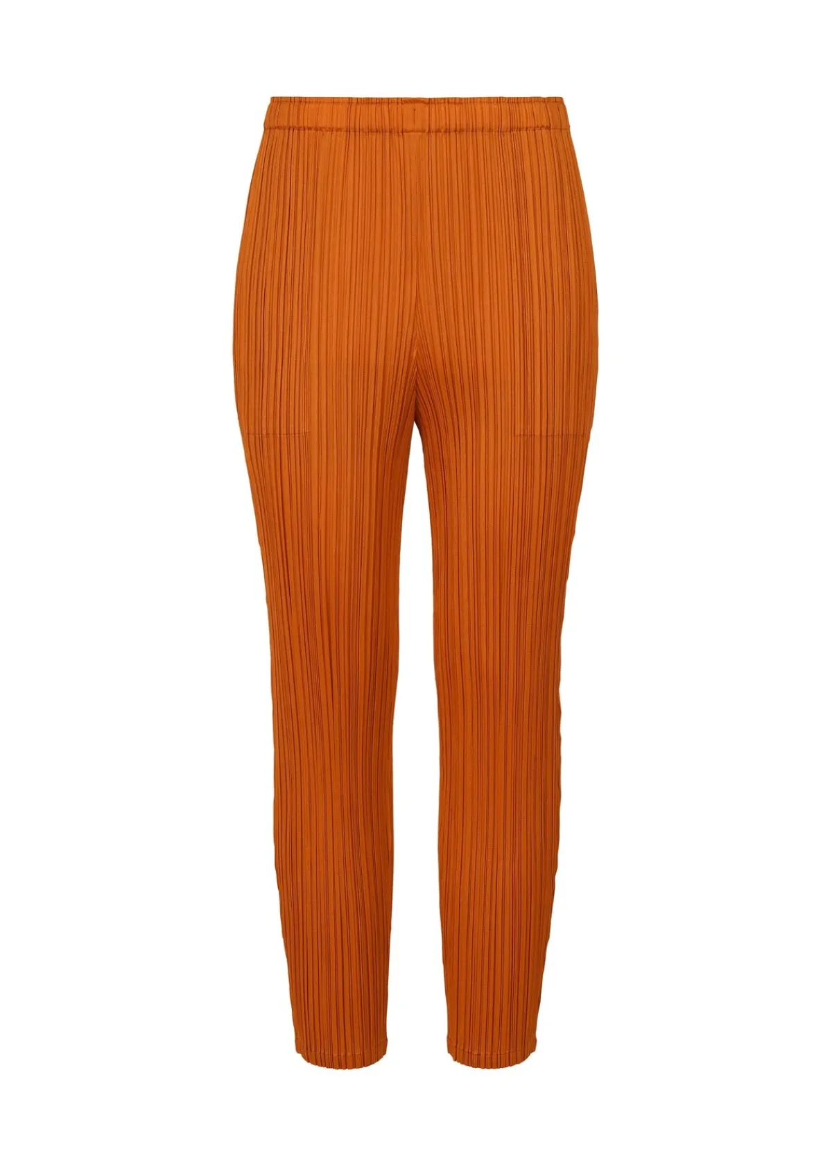 Women PLEATS PLEASE ISSEY MIYAKE Socks & Shoes | Pants*WORMHOLE